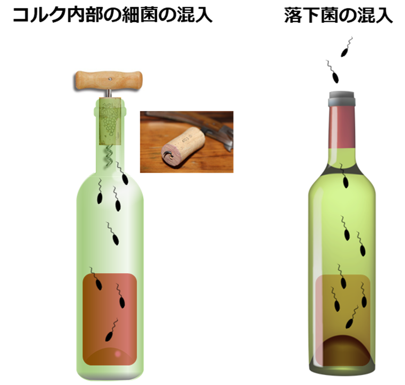 ワインの劣化や細菌に関して 飲食品から医療まで 抗酸化システム ガス置換 を卓上で ワインの劣化や細菌に関して 飲食品から医療まで 抗酸化システム ガス置換 を卓上で